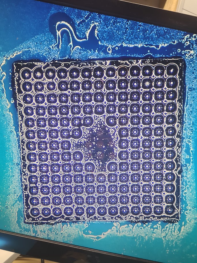 BGA solder ball array under microscope